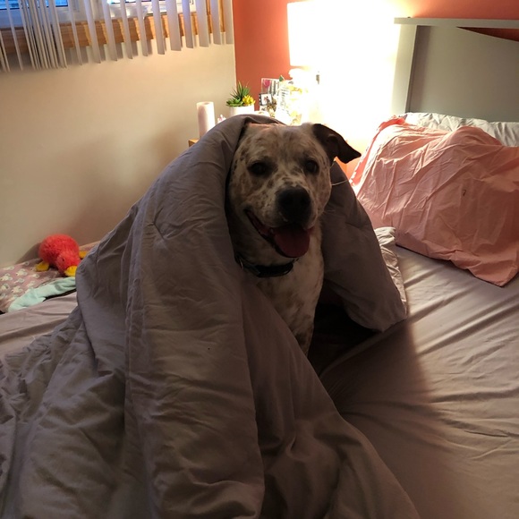 Meet your Posh Ambassador, Michaelina - Picture 7 of 11